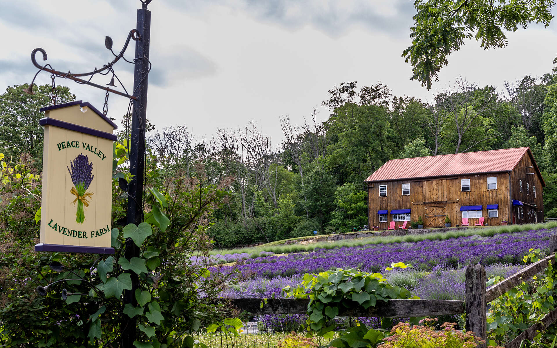 Peace Valley Farm